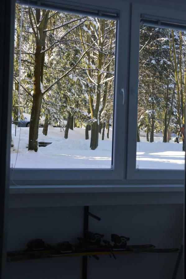 Apartament Izerski Klimat Swieradow-Zdroj Bagian luar foto